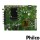 PLACA PRINCIPAL PHILCO PTV40E60SN JUC7.820.00207831 | ORIGINAL